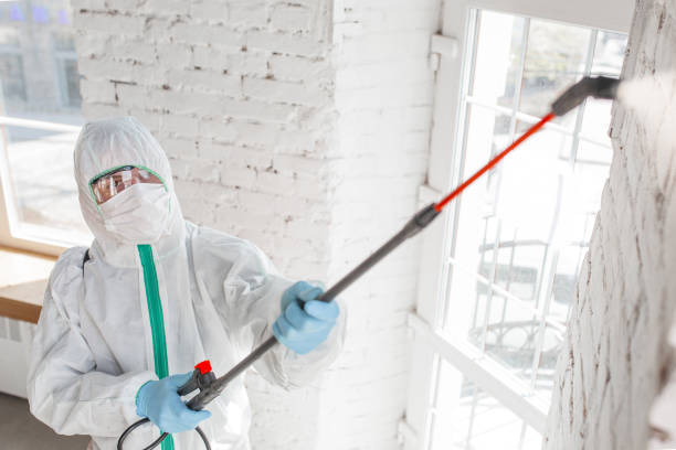 Professional Mold Inspection, Removal & Remediation in Westbrook Center, CT